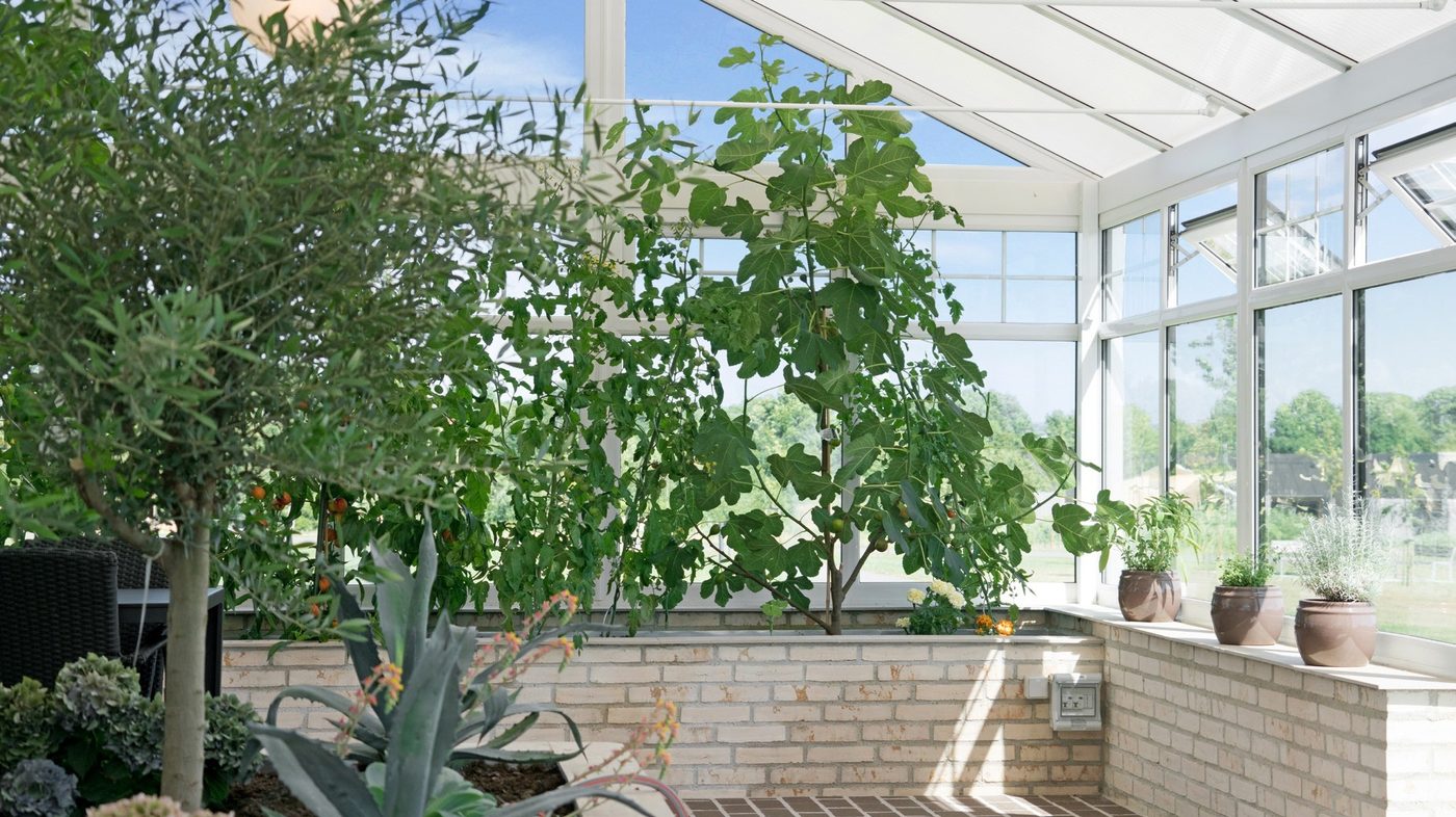 Garden room interior looking out to planting